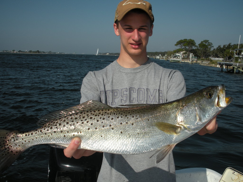 Nice Specled trout Caught In Orange Beach, Alabama Inshore Fishing